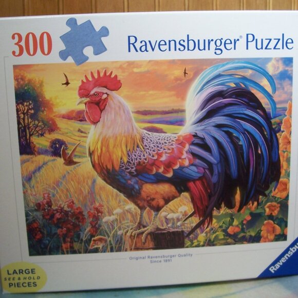 Ravensburger Other - Ravensburger Puzzle 300 Pieces